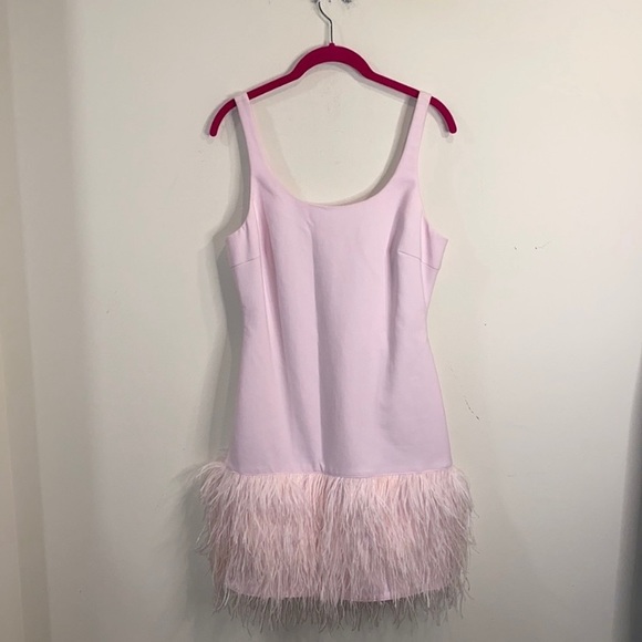 Elizabeth and James New India Feather Dress - Picture 7 of 7